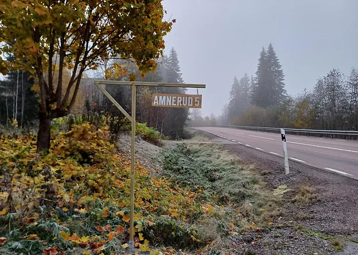 Amnerud 5